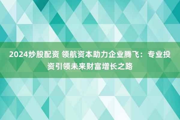 2024炒股配资 领航资本助力企业腾飞：专业投资引领未来财富增长之路