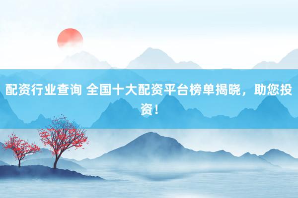 配资行业查询 全国十大配资平台榜单揭晓，助您投资！