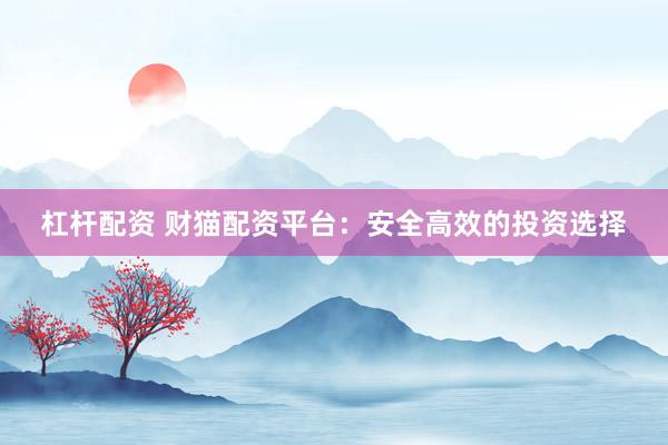 杠杆配资 财猫配资平台：安全高效的投资选择