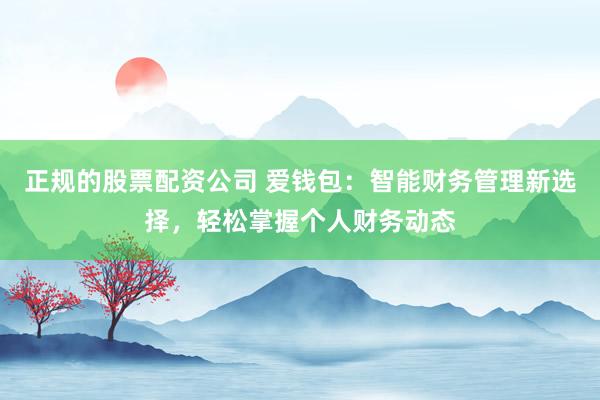 正规的股票配资公司 爱钱包：智能财务管理新选择，轻松掌握个人财务动态