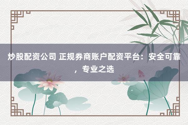 炒股配资公司 正规券商账户配资平台:安全可靠,专业之选