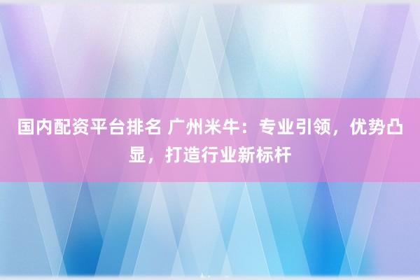 国内配资平台排名 广州米牛:专业引领,优势凸显,打造行业新标杆