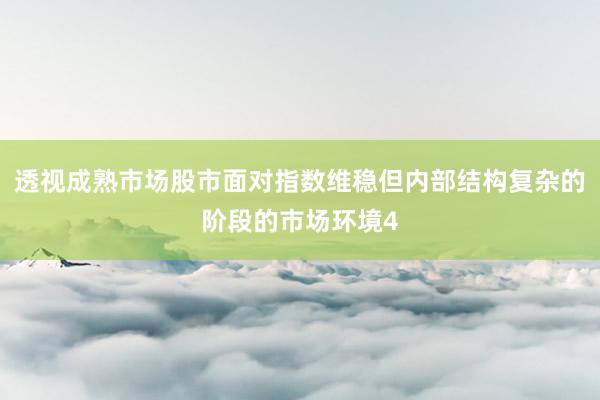 透视成熟市场股市面对指数维稳但内部结构复杂的阶段的市场环境4