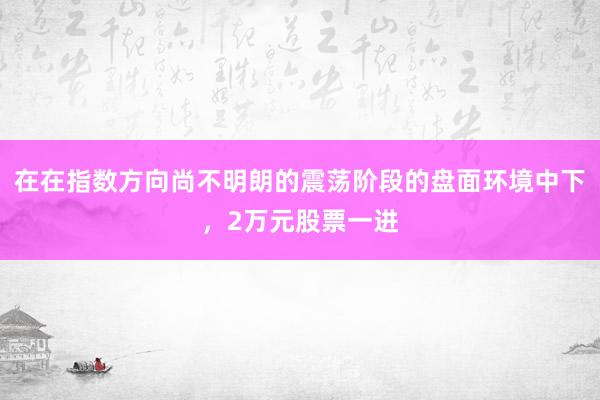 在在指数方向尚不明朗的震荡阶段的盘面环境中下，2万元股票一进