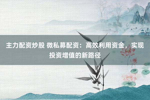 主力配资炒股 微私募配资:高效利用资金,实现投资增值的新路径