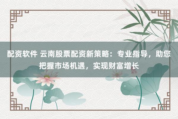 配资软件 云南股票配资新策略:专业指导,助您把握市场机遇,实现财富增长