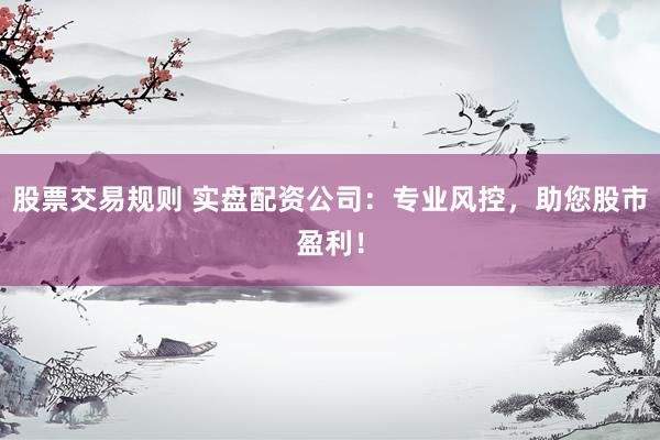 股票交易规则 实盘配资公司：专业风控，助您股市盈利！